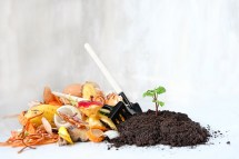 The Science Behind Composting: Understanding the Process for Effective Results