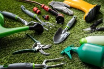 The Essential Tools Every Gardening Beginner Needs to Succeed